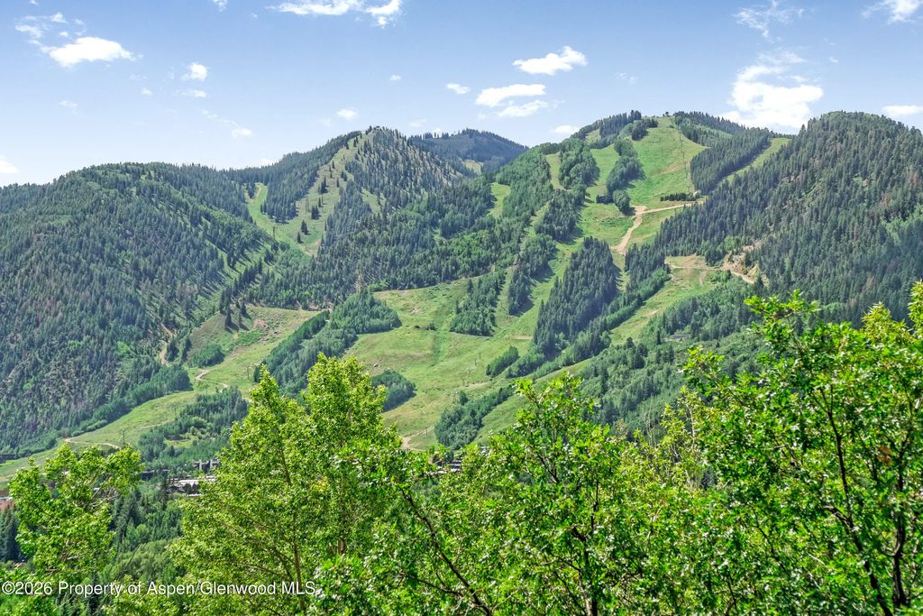 7 of 37 - 182 Bennett Place, Aspen, CO