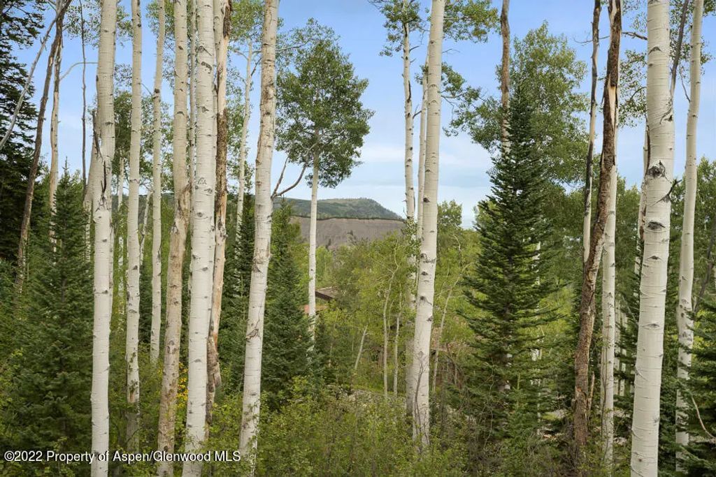 31 of 35 - 2055 Faraway Road, Snowmass Village, CO