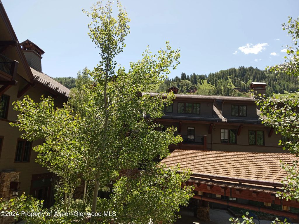 34 of 35 - 0039 Boomerang Road Unit 8214 Summer Interest #9, Aspen, CO