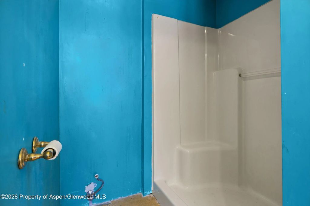 17 of 20 - 298 Rose Lane, Carbondale, CO