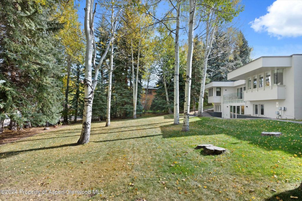 41 of 44 - 721 Meadowood Drive, Aspen, CO