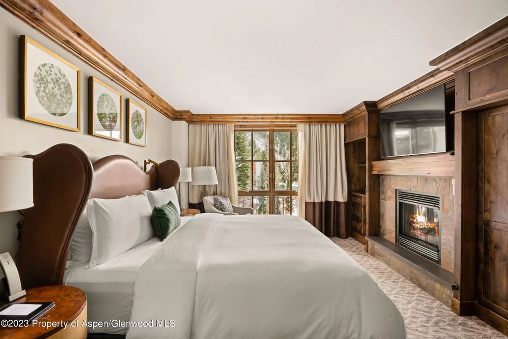 8 of 15 - 315 E Dean Street B43, Aspen, CO