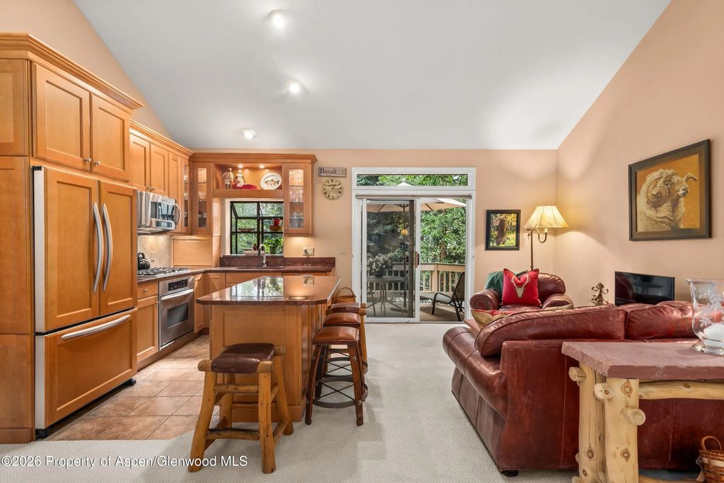 1504 Mockingbird Lane, Basalt