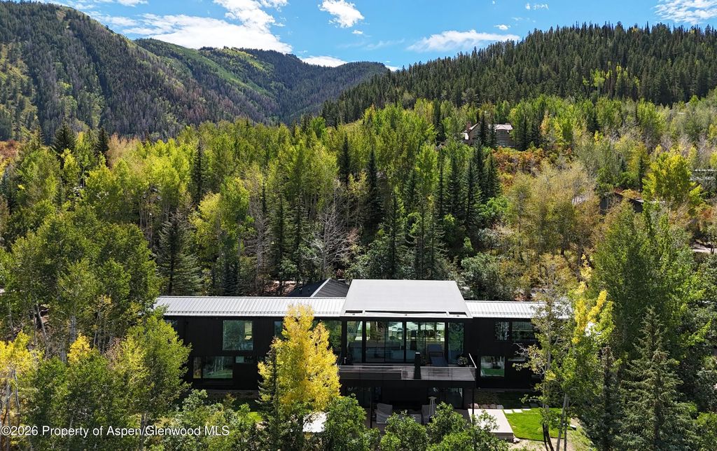 264 Larkspur Lane, Aspen