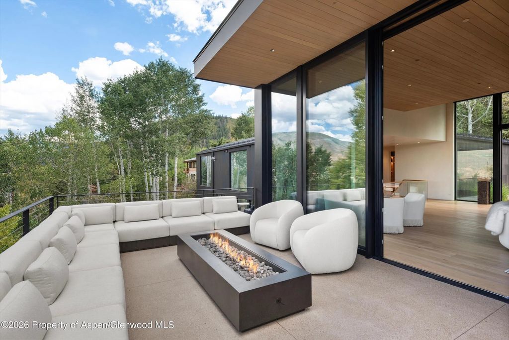 11 of 49 - 264 Larkspur Lane, Aspen, CO