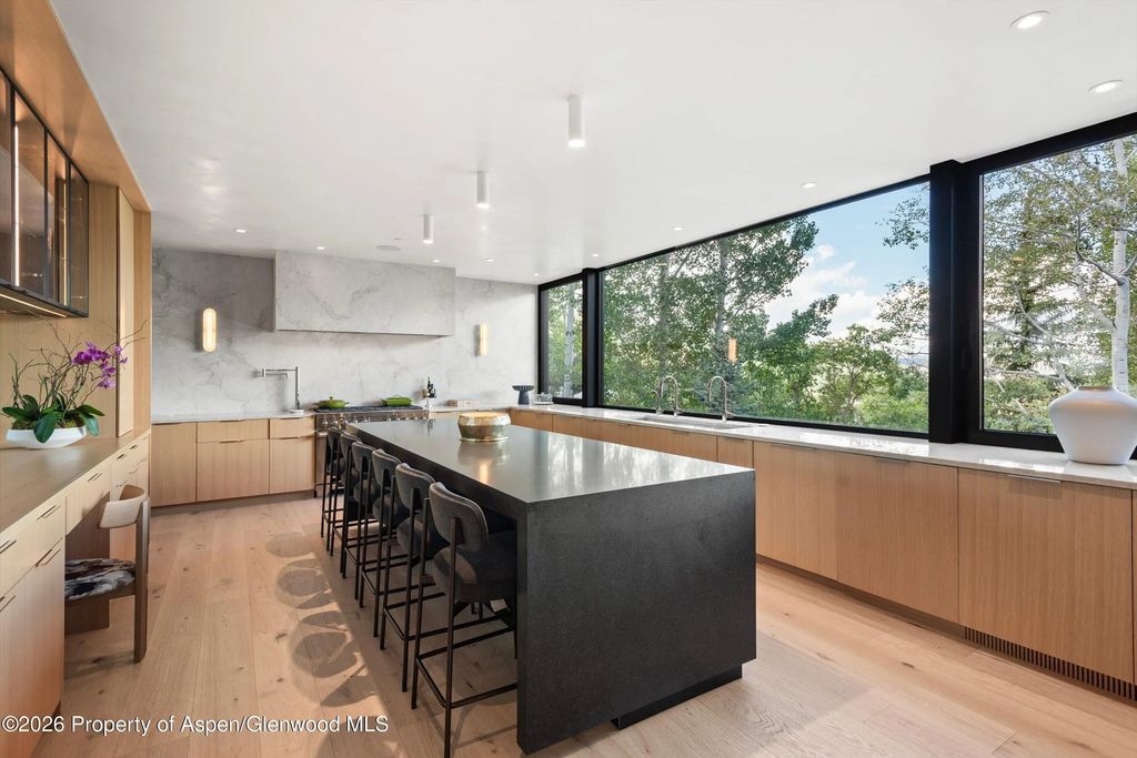 14 of 49 - 264 Larkspur Lane, Aspen, CO