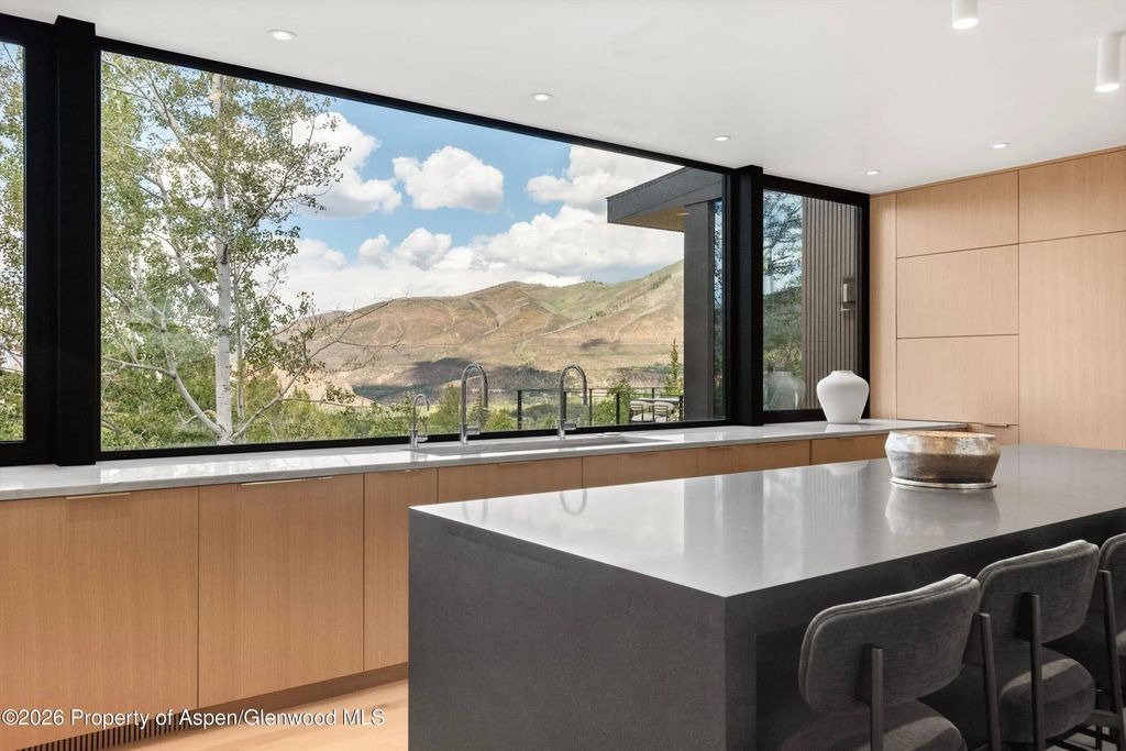 16 of 49 - 264 Larkspur Lane, Aspen, CO