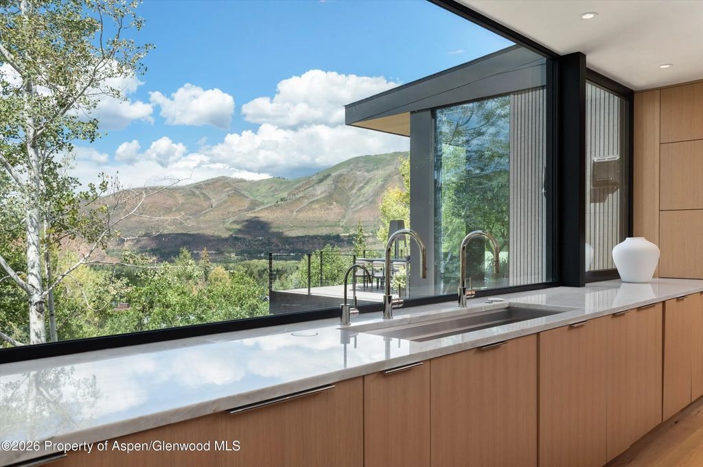 17 of 49 - 264 Larkspur Lane, Aspen, CO