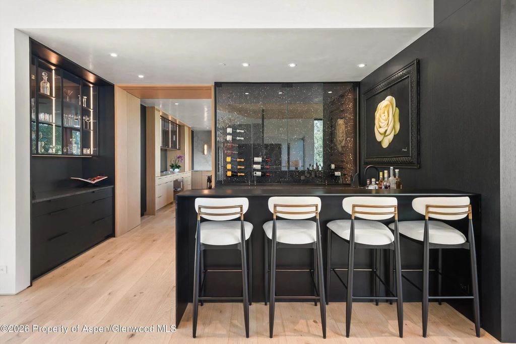 18 of 49 - 264 Larkspur Lane, Aspen, CO
