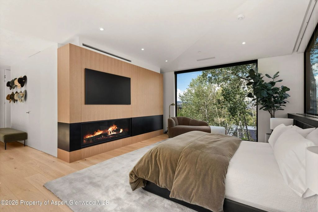 20 of 49 - 264 Larkspur Lane, Aspen, CO