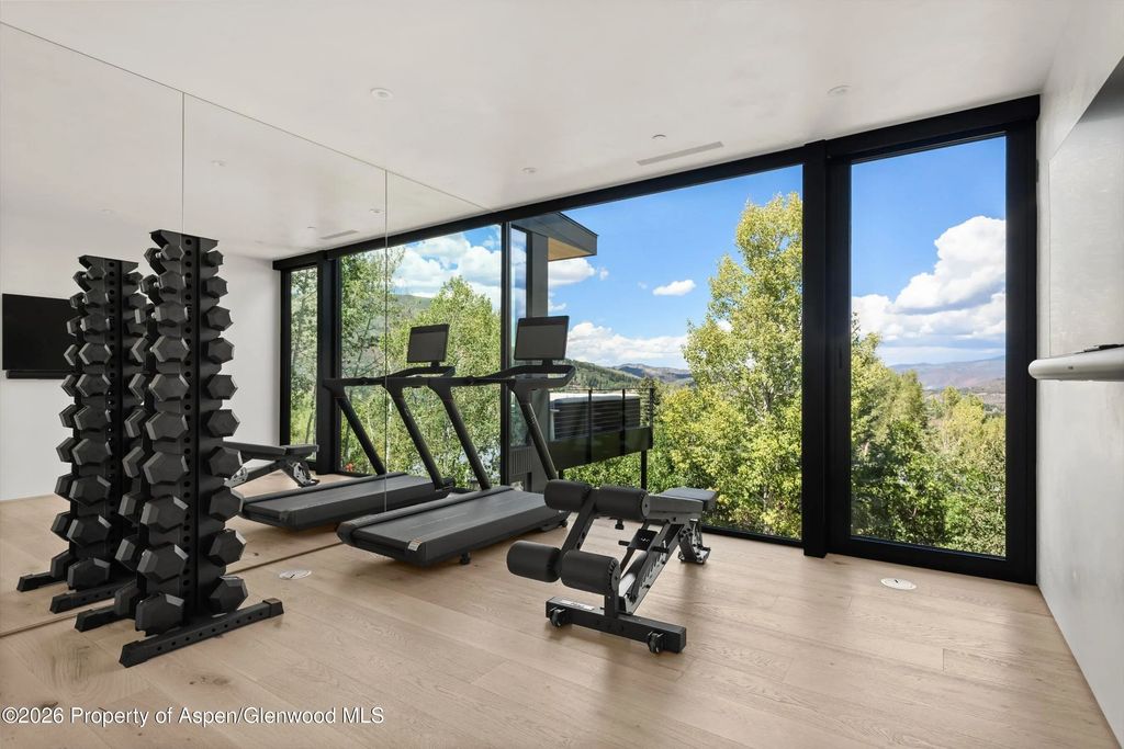 26 of 49 - 264 Larkspur Lane, Aspen, CO
