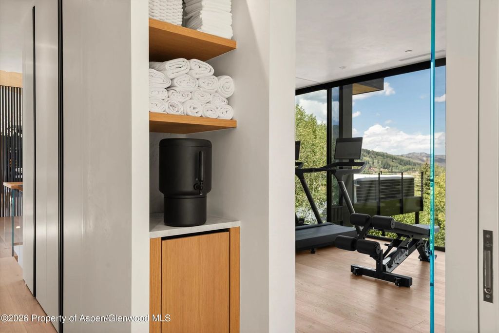 27 of 49 - 264 Larkspur Lane, Aspen, CO