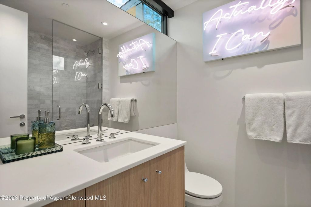 37 of 49 - 264 Larkspur Lane, Aspen, CO