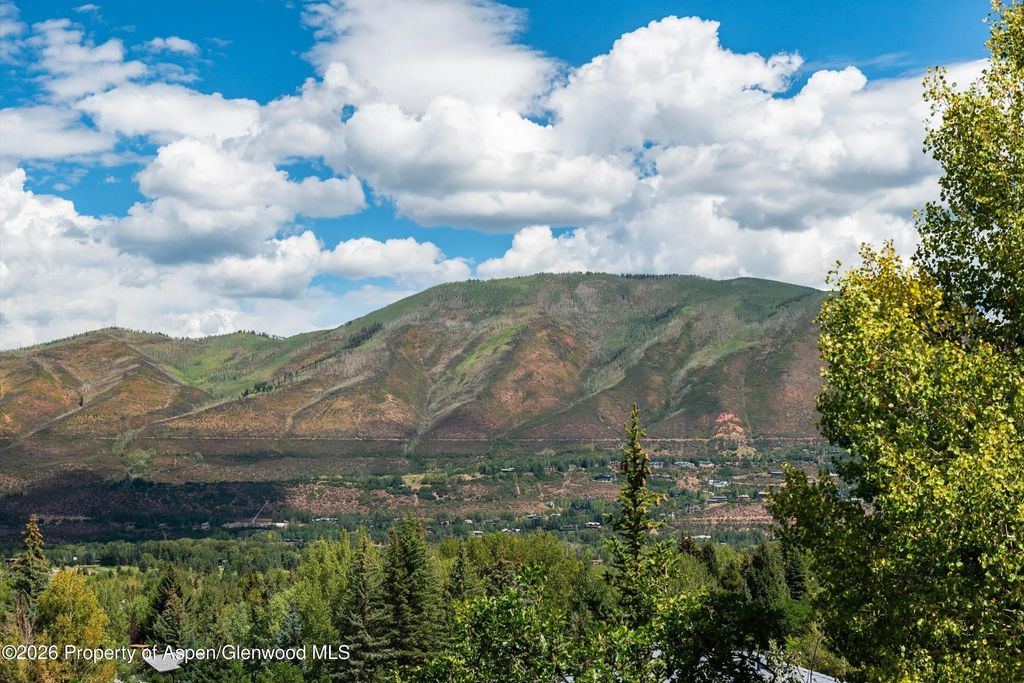 48 of 49 - 264 Larkspur Lane, Aspen, CO