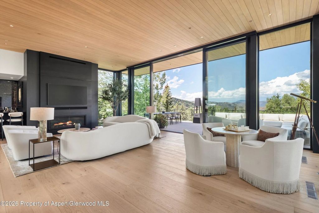 6 of 49 - 264 Larkspur Lane, Aspen, CO