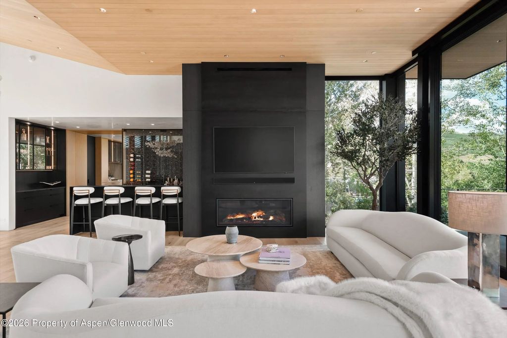7 of 49 - 264 Larkspur Lane, Aspen, CO