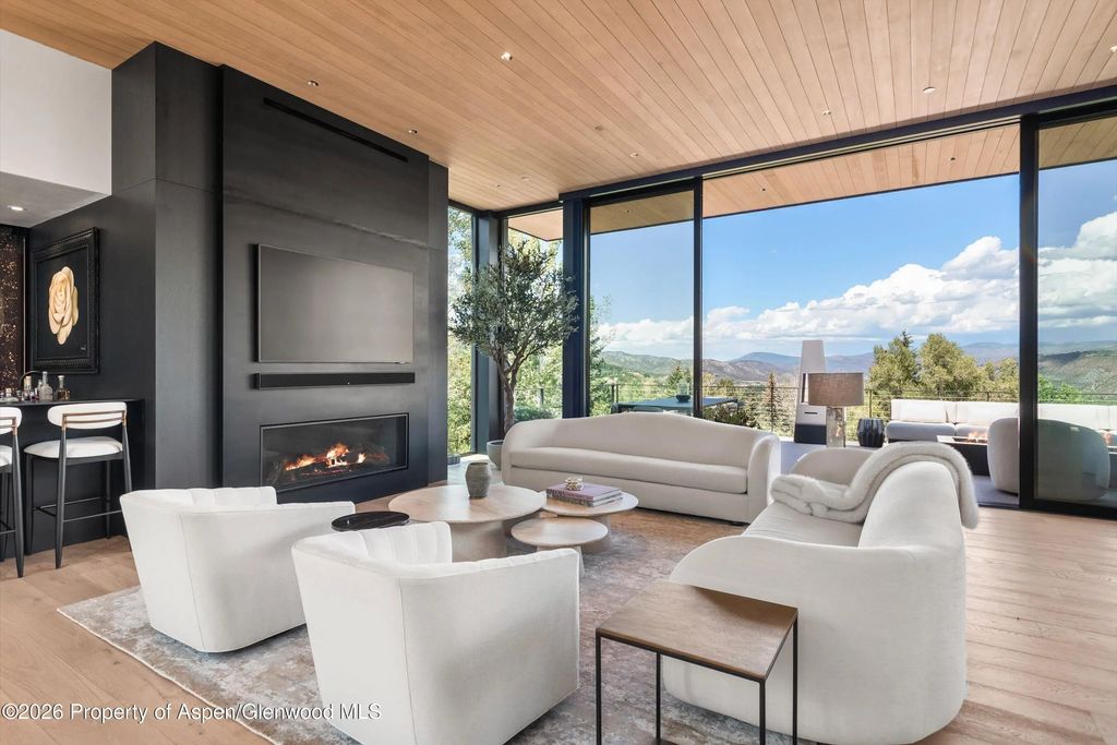 8 of 49 - 264 Larkspur Lane, Aspen, CO