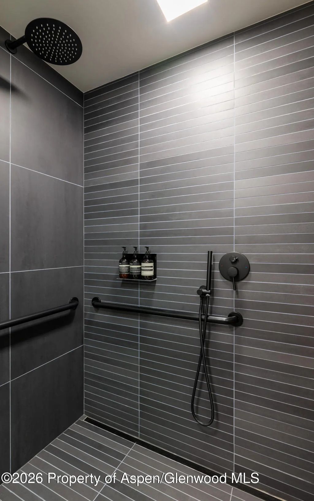 6 of 13 - 520 E Cooper Avenue C7, Aspen, CO