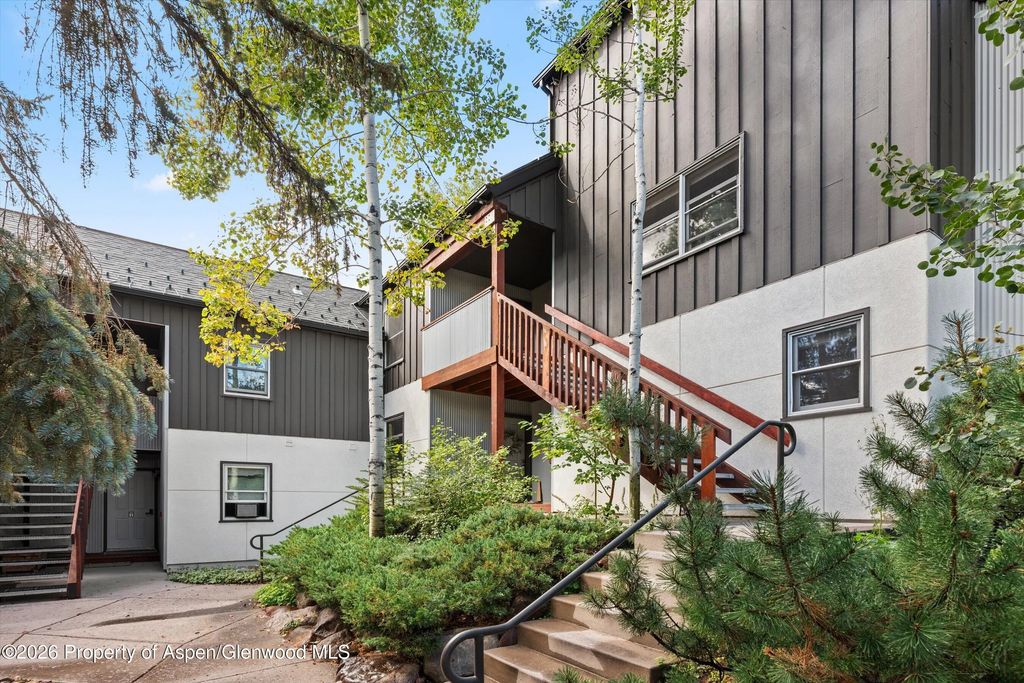 414 Pacific Avenue G, Aspen