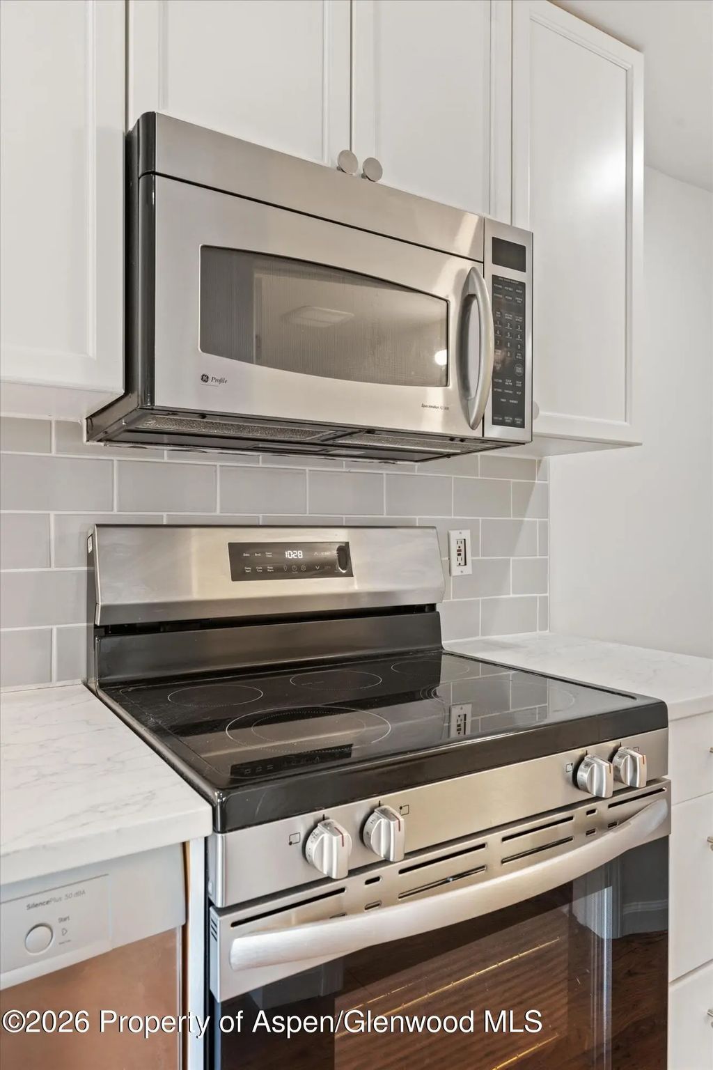 24 of 31 - 414 Pacific Avenue G, Aspen, CO