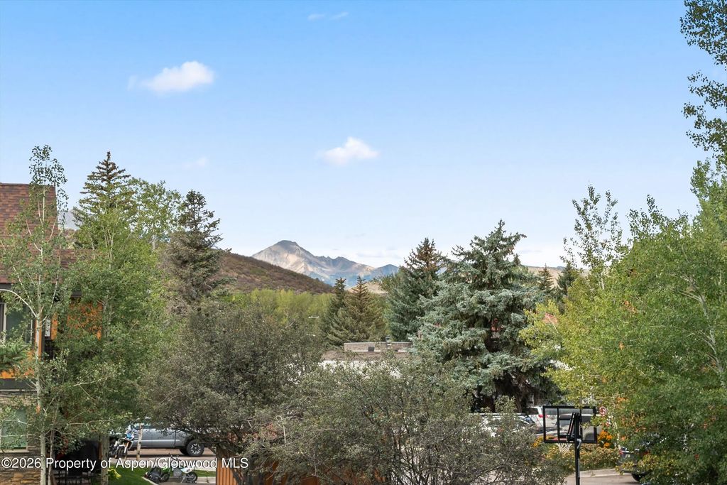 26 of 31 - 414 Pacific Avenue G, Aspen, CO