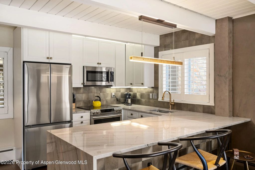4 of 22 - 825 E Hopkins Avenue 2n, Aspen, CO