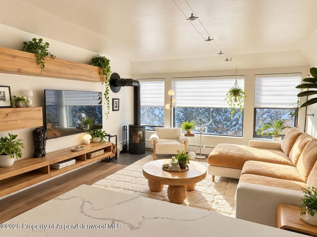 942 Vine Street, Aspen