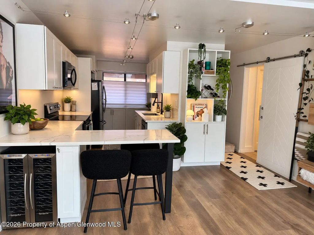 4 of 5 - 942 Vine Street, Aspen, CO