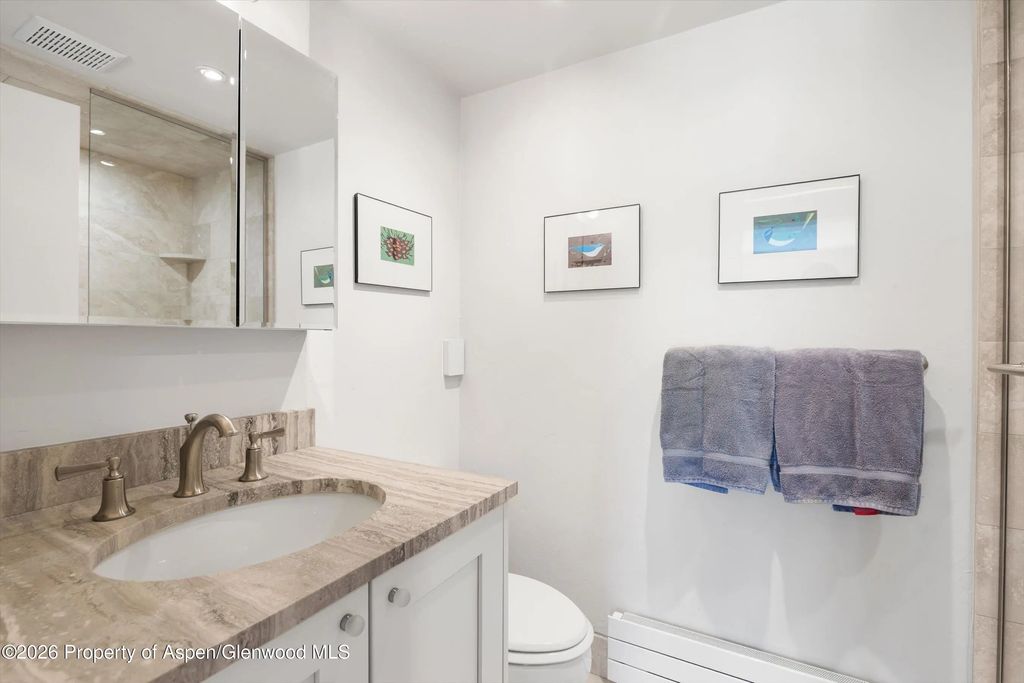 28 of 38 - 1301 Mclaughlin Lane, Basalt, CO