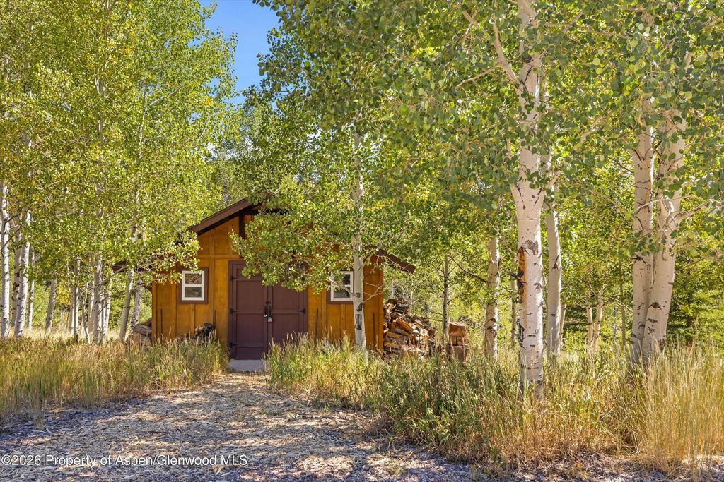 31 of 38 - 1301 Mclaughlin Lane, Basalt, CO