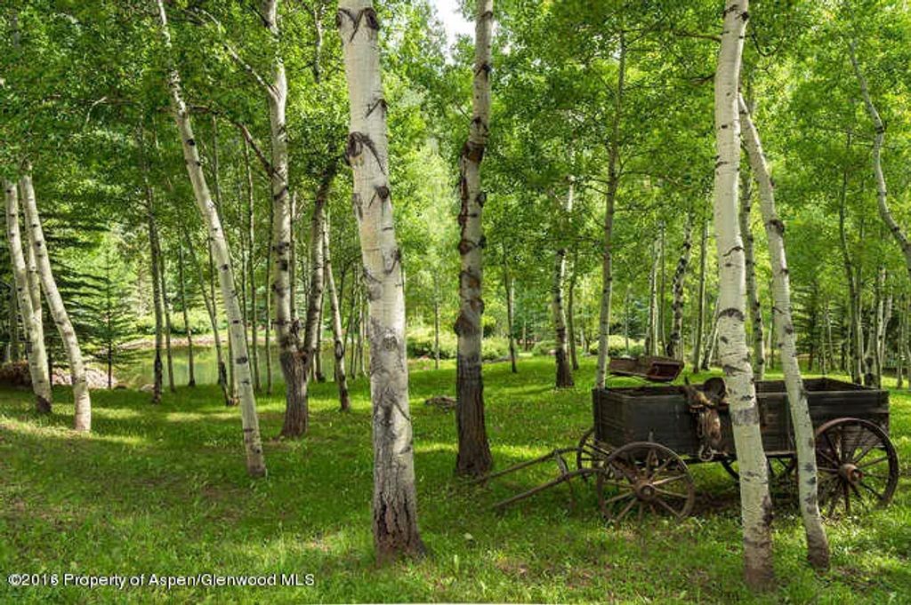 29 of 34 - 6067 Woody Creek Road, Woody Creek, CO