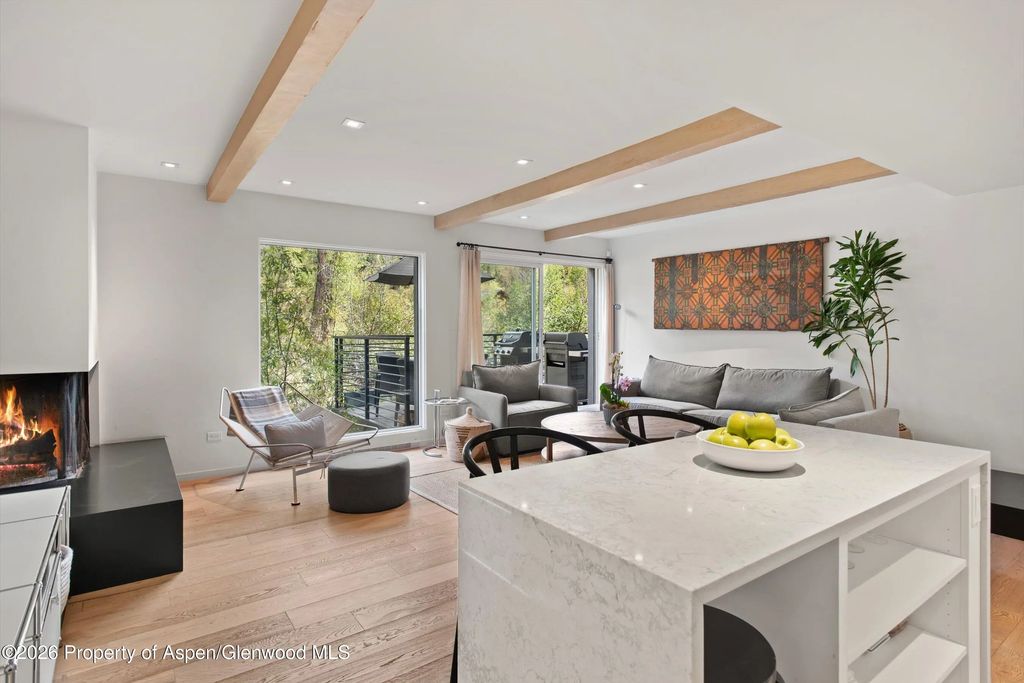 24 of 42 - 1039 E Cooper Avenue 19a & 21a, Aspen, CO