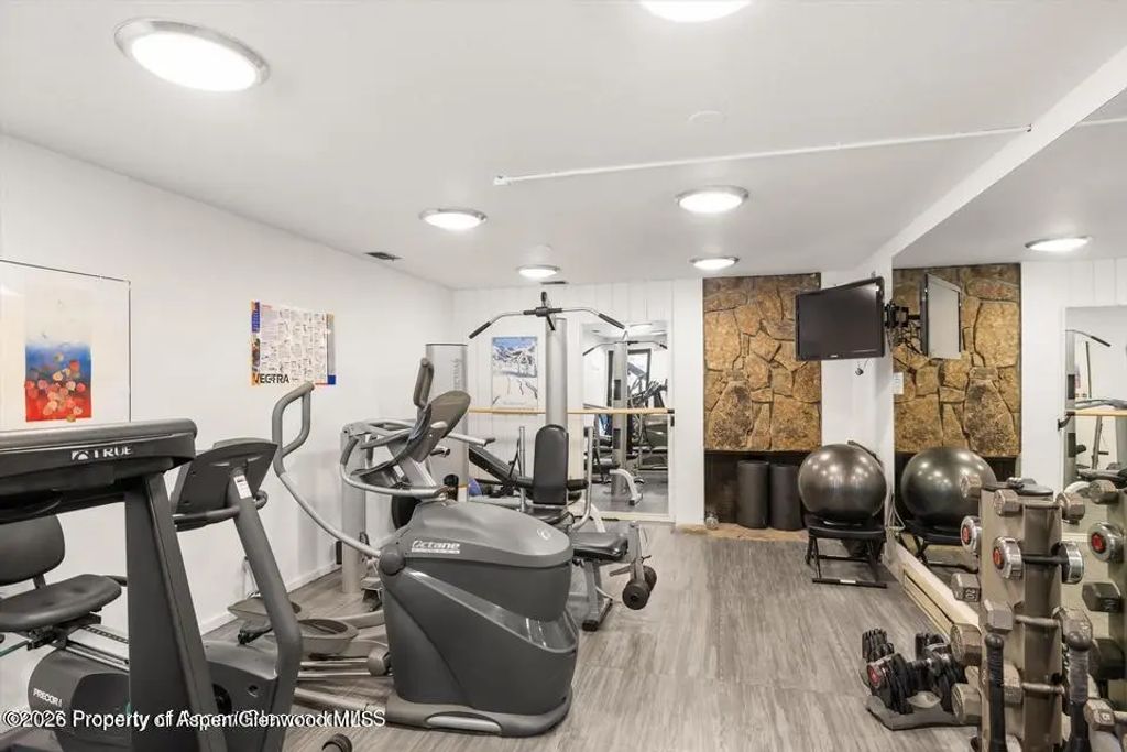 41 of 42 - 1039 E Cooper Avenue 19a & 21a, Aspen, CO