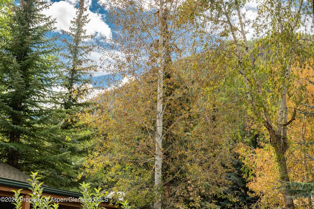 12 of 18 - 914 Waters Avenue 19, Aspen, CO