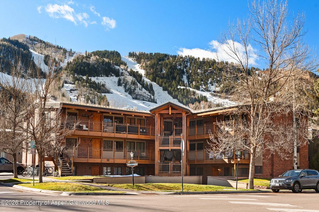 835 E Hyman Avenue E, Aspen