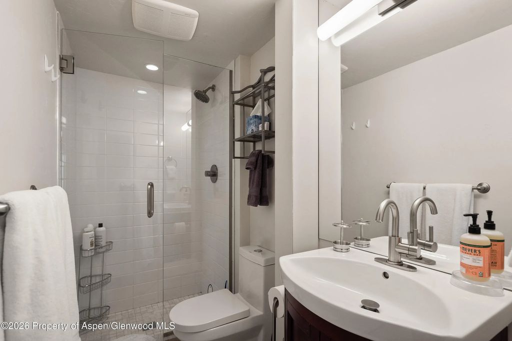 8 of 11 - 835 E Hyman Avenue E, Aspen, CO