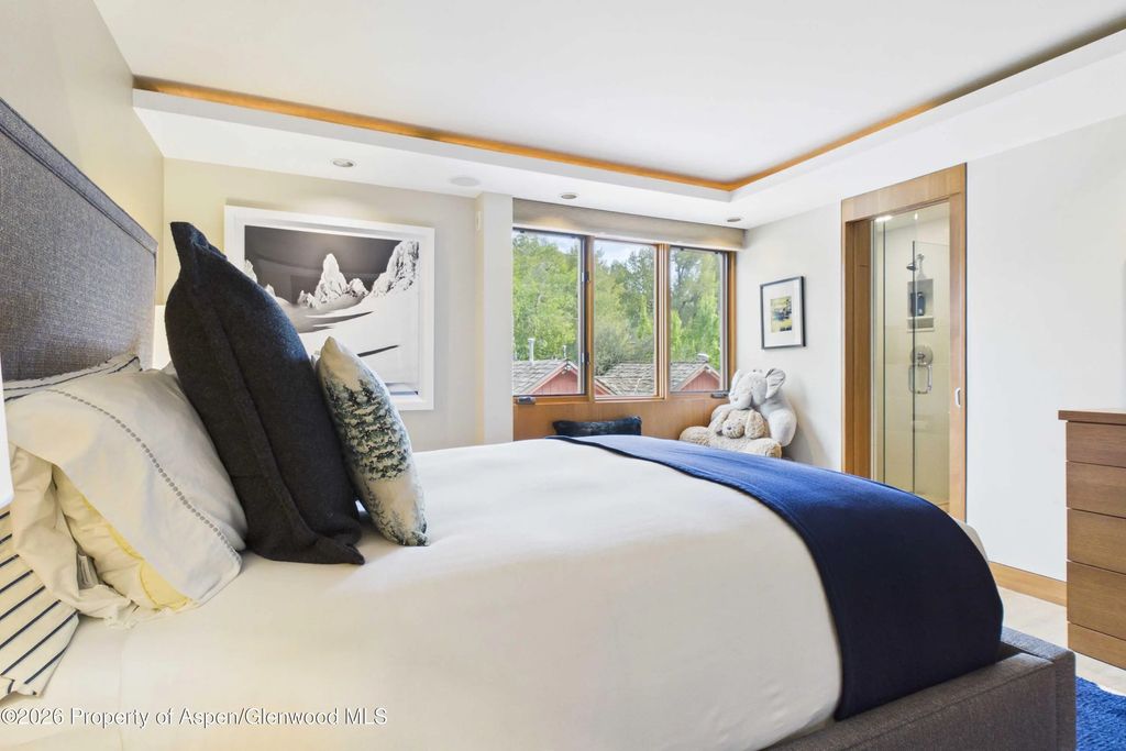 9 of 20 - 400 W Hopkins Avenue 6/7, Aspen, CO