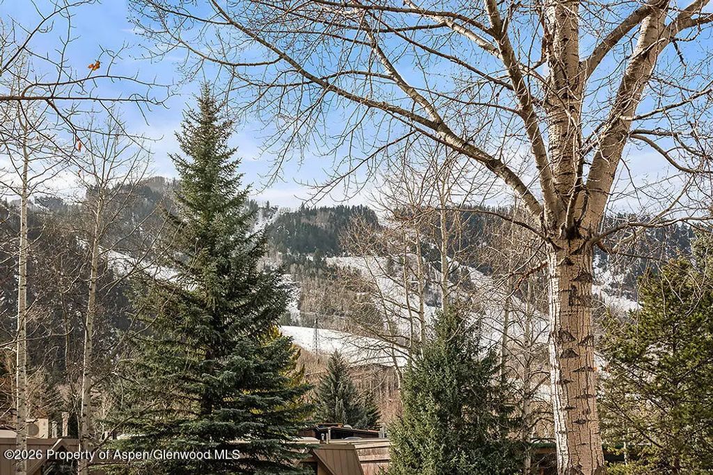 28 of 31 - 830 E Durant Avenue 8, Aspen, CO