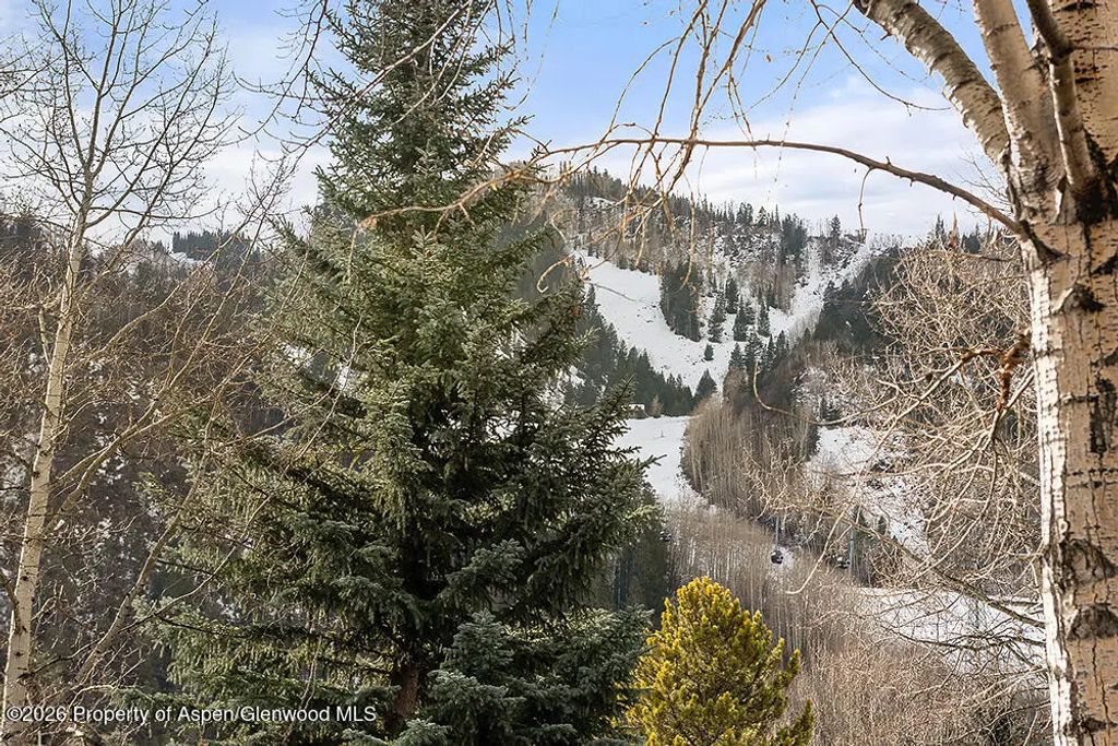 29 of 31 - 830 E Durant Avenue 8, Aspen, CO