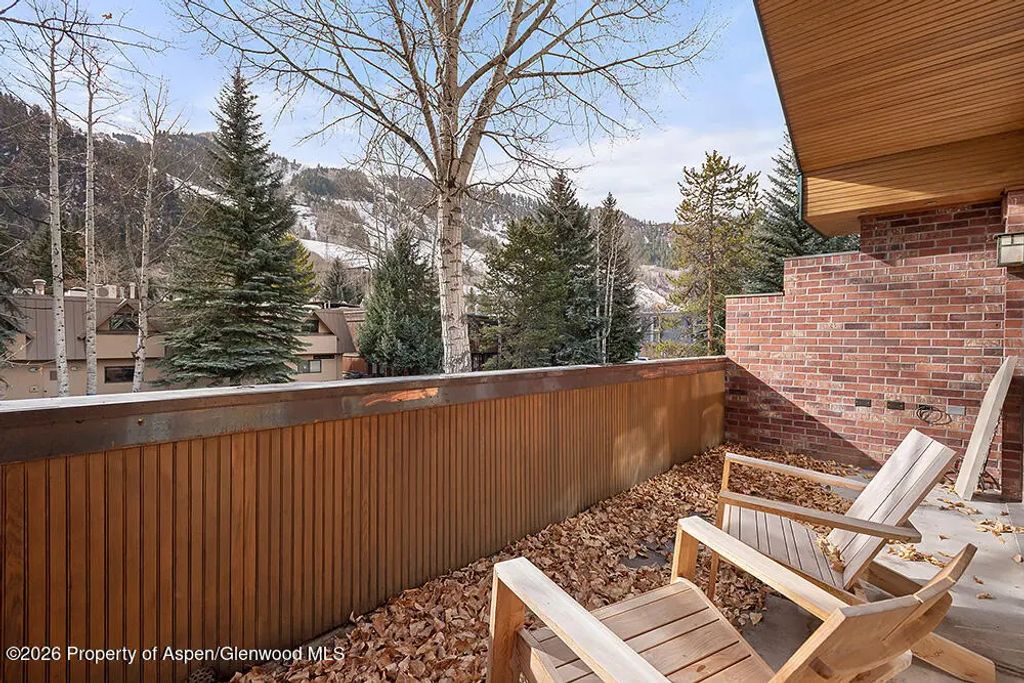 30 of 31 - 830 E Durant Avenue 8, Aspen, CO