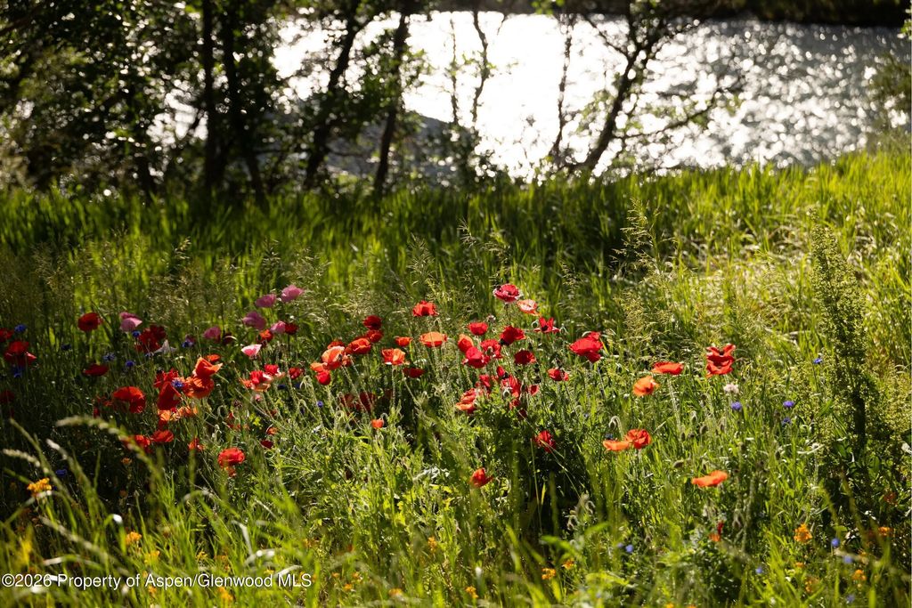 14 of 68 - 14418 Highway 133, Carbondale, CO