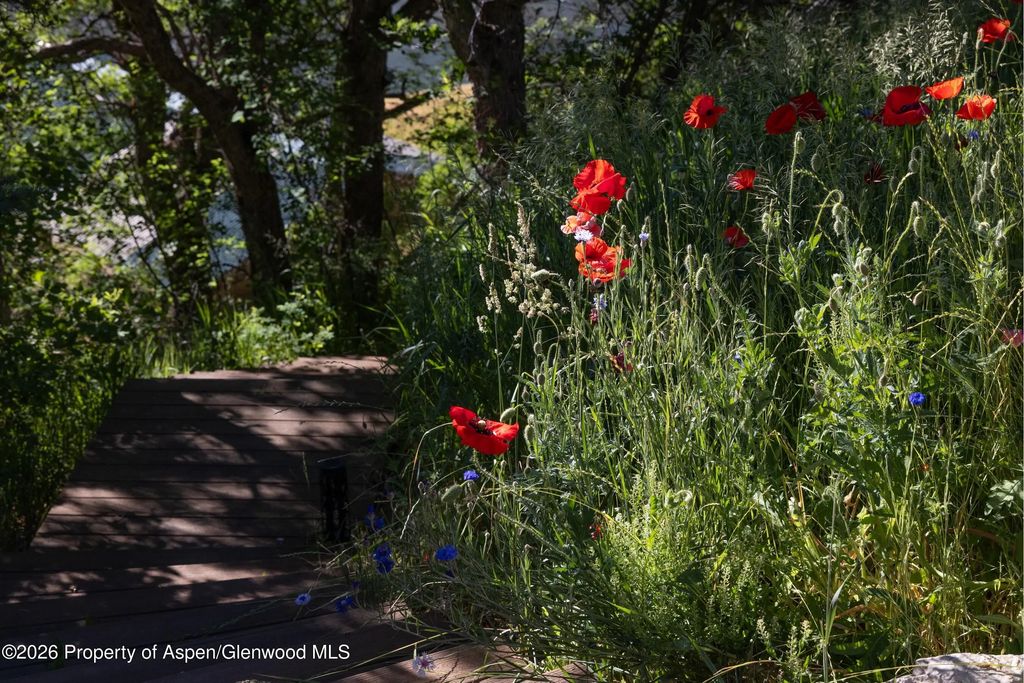 63 of 68 - 14418 Highway 133, Carbondale, CO