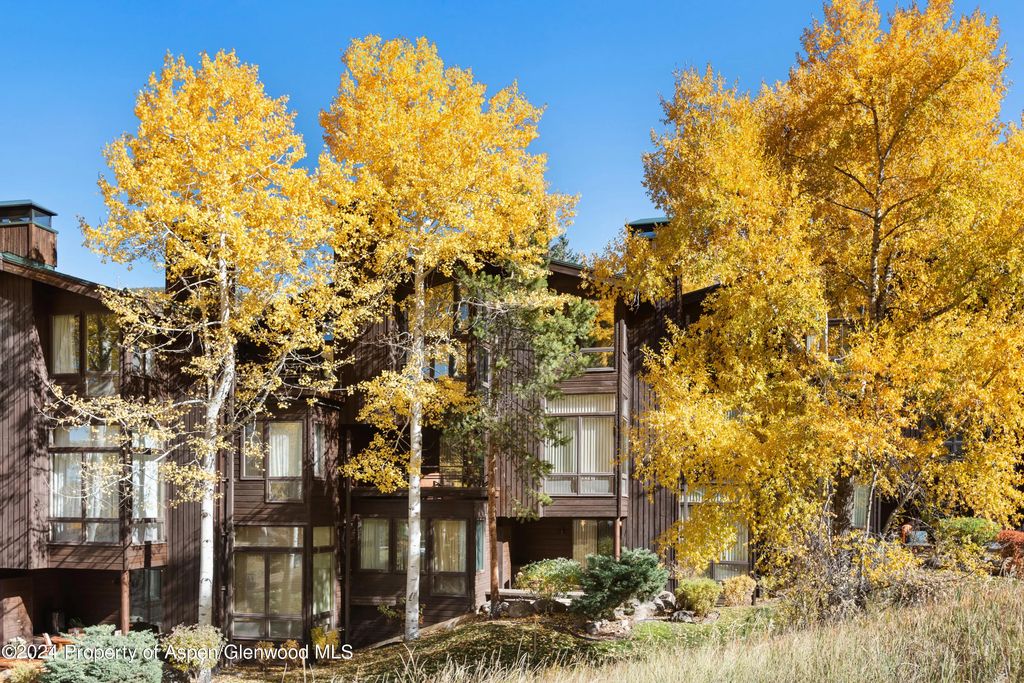 800 S Monarch Street Unit 9, Aspen