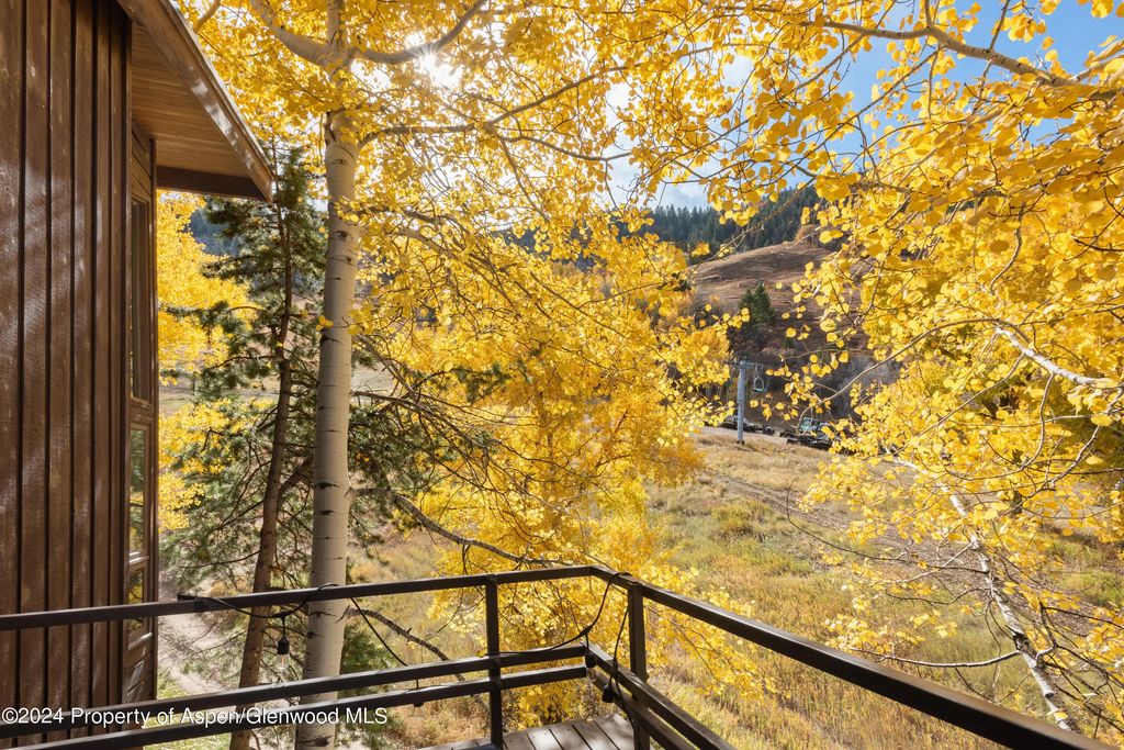 10 of 25 - 800 S Monarch Street Unit 9, Aspen, CO
