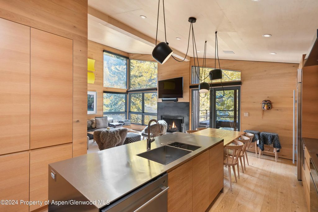 12 of 25 - 800 S Monarch Street Unit 9, Aspen, CO
