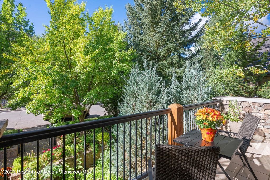 26 of 68 - 960 E Hopkins Avenue, Aspen, CO