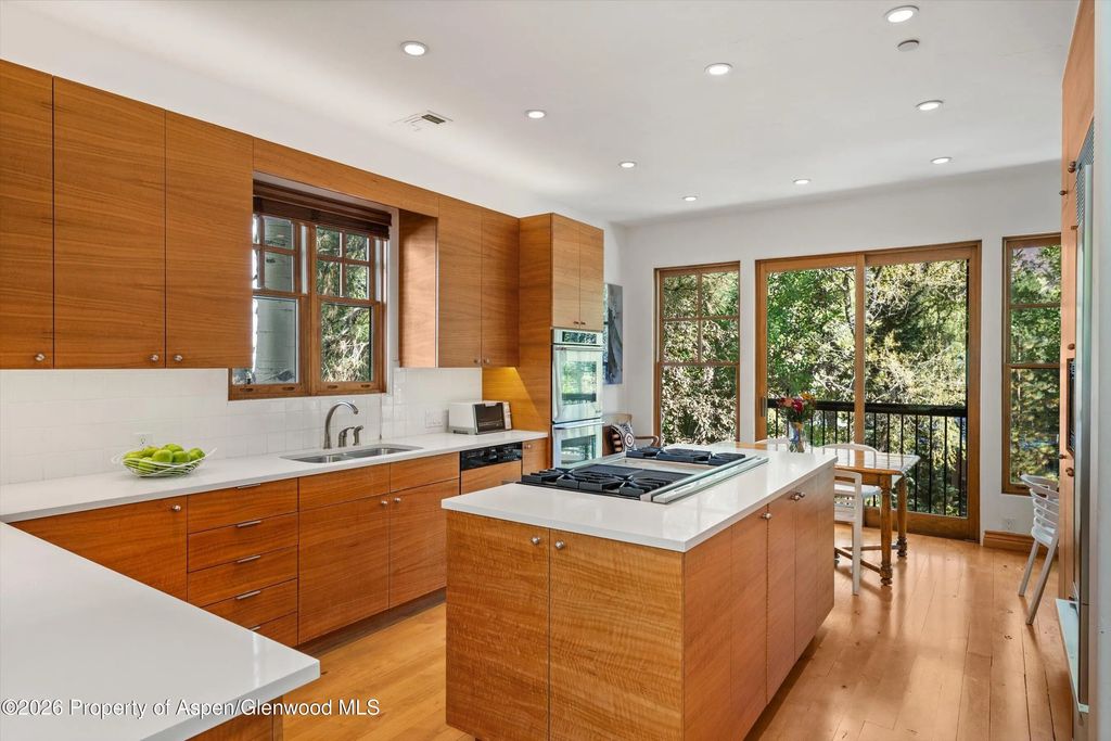 47 of 68 - 960 E Hopkins Avenue, Aspen, CO