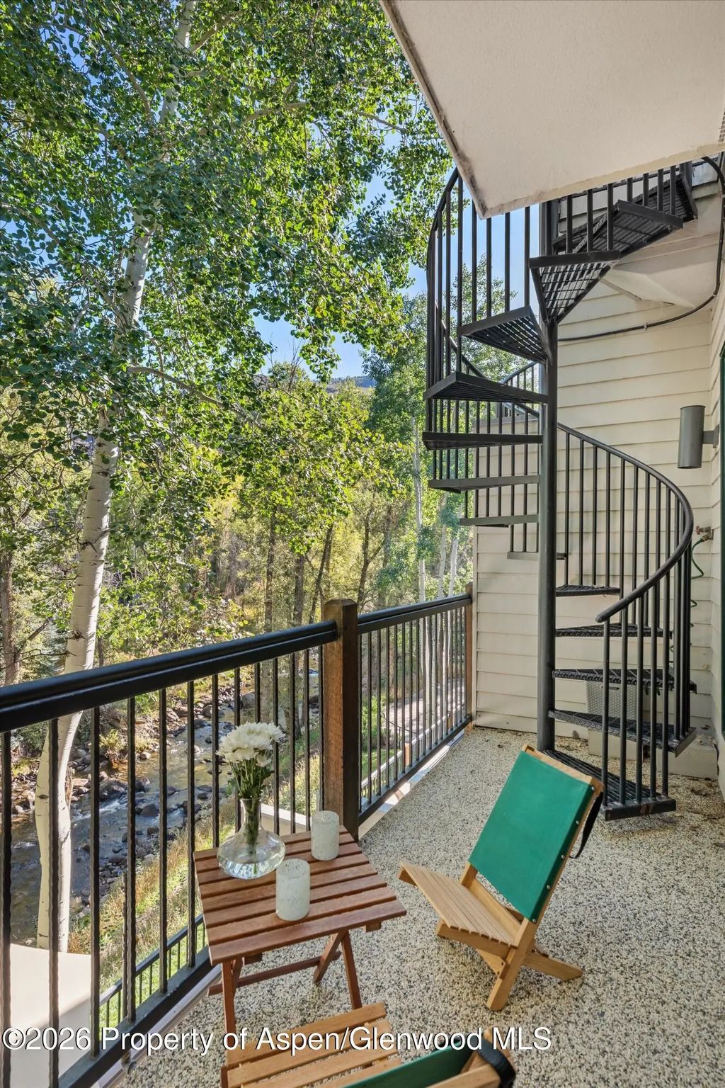 57 of 68 - 960 E Hopkins Avenue, Aspen, CO