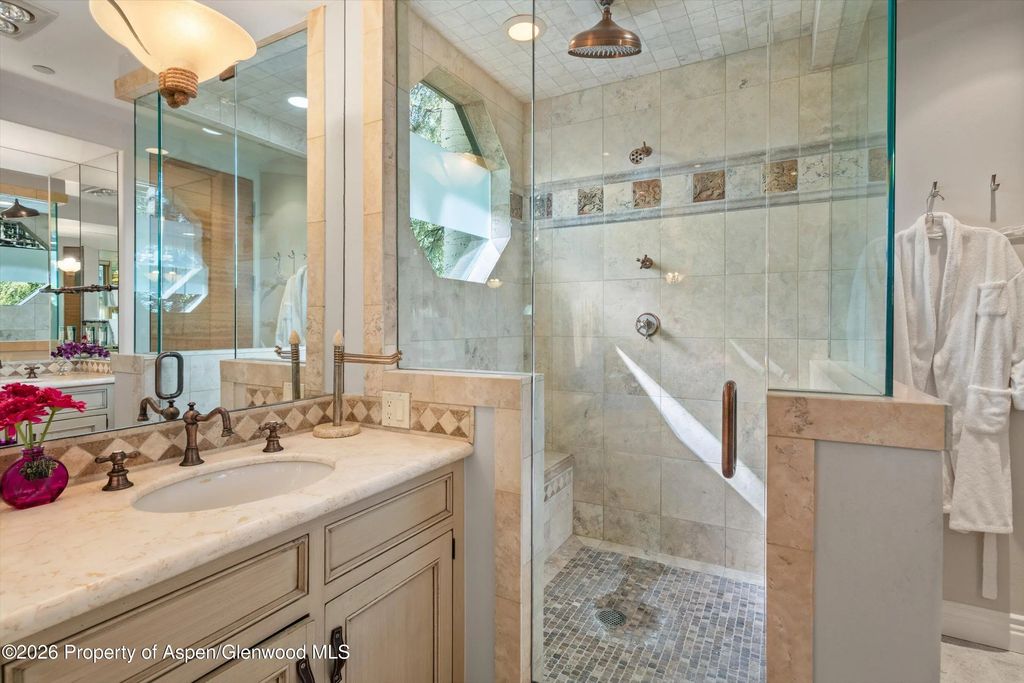8 of 68 - 960 E Hopkins Avenue, Aspen, CO