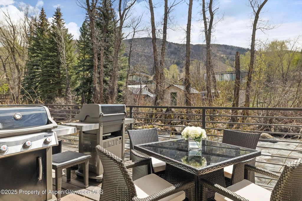 22 of 33 - 1039 E Cooper Avenue 21a, Aspen, CO